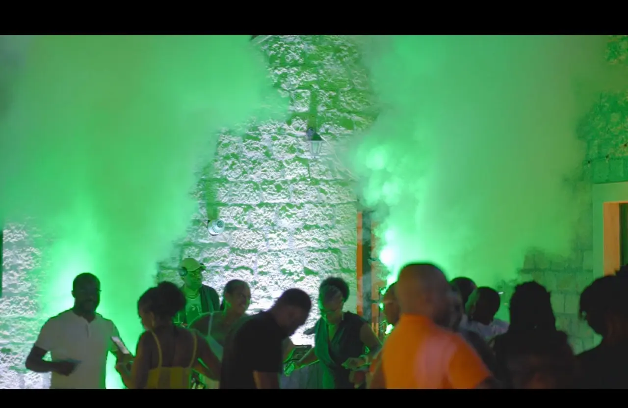 People dancing in party smoke.